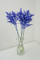 Aster Solidago (Dyed color)