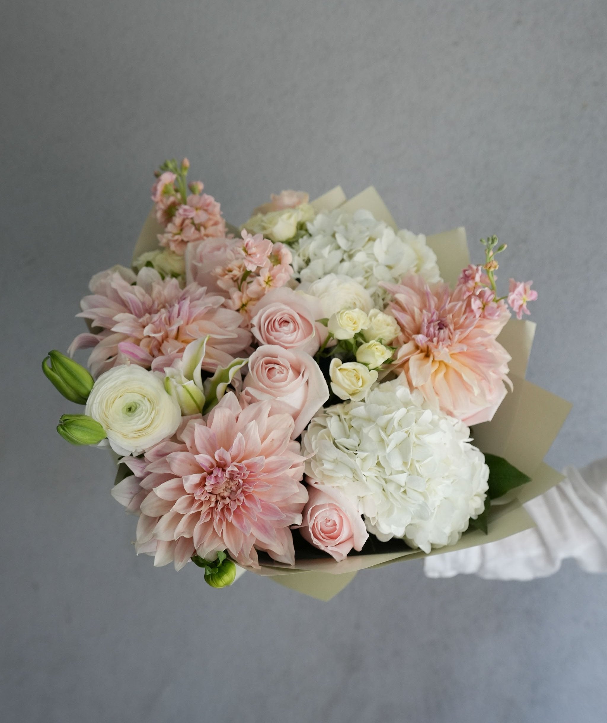 Peach in Pink (Special Wrapping Included) dahlia