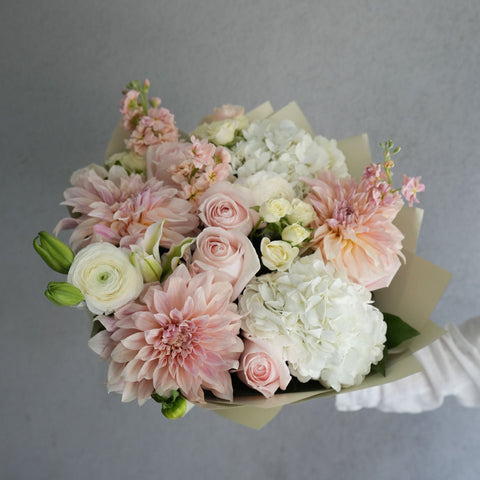 Peach in Pink (Special Wrapping Included) dahlia