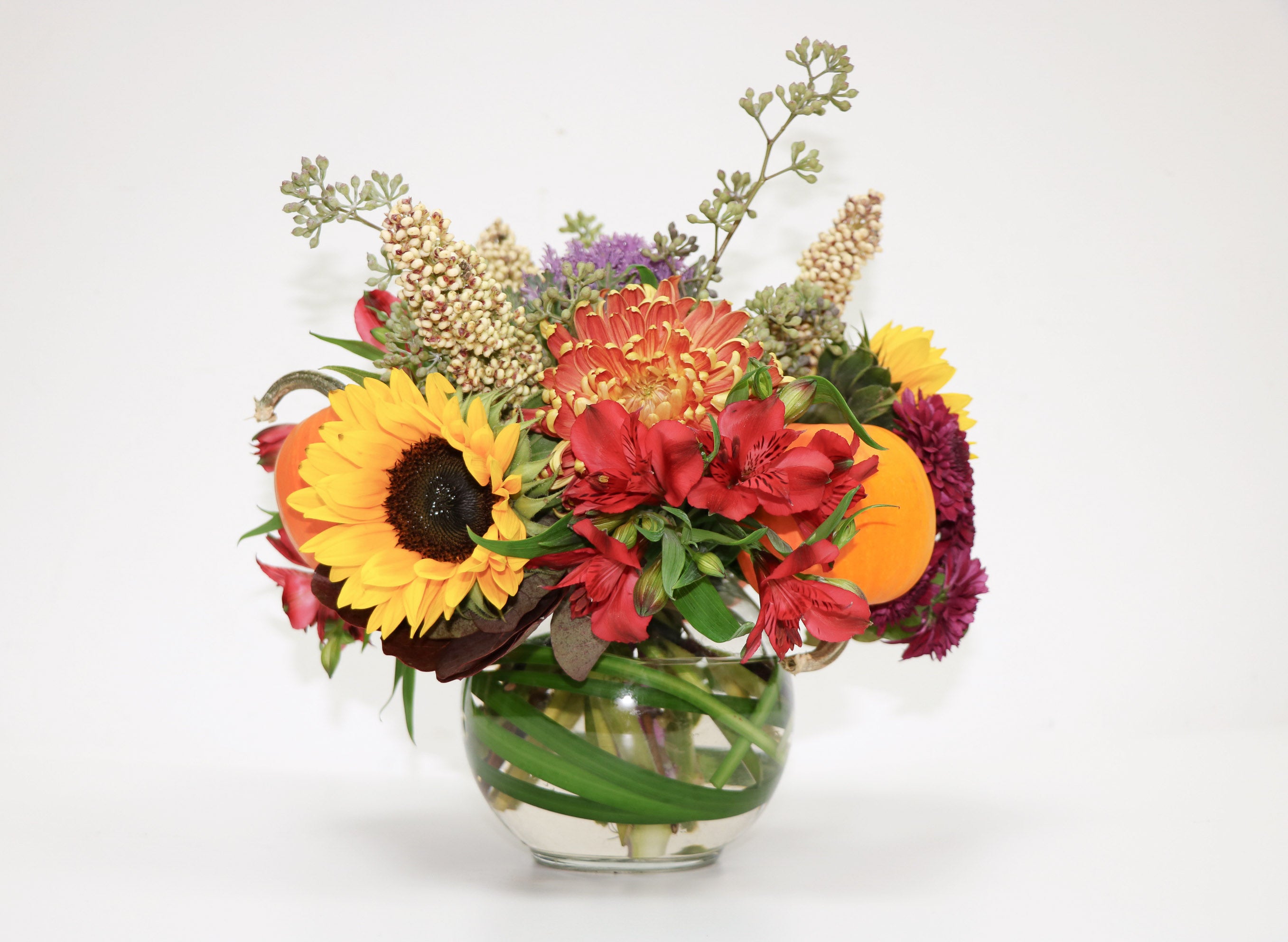 Thanksgiving Harvest