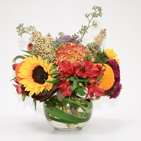 Thanksgiving Harvest