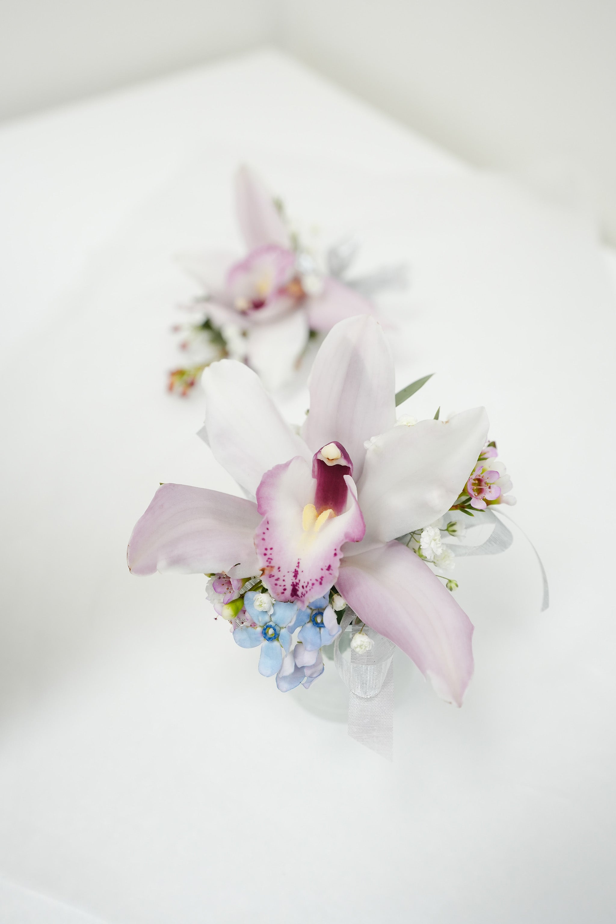 Cymbidium Corsage  & boutonniere