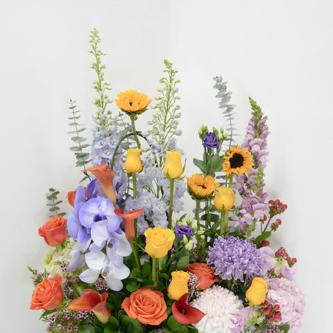 Bright Blooms