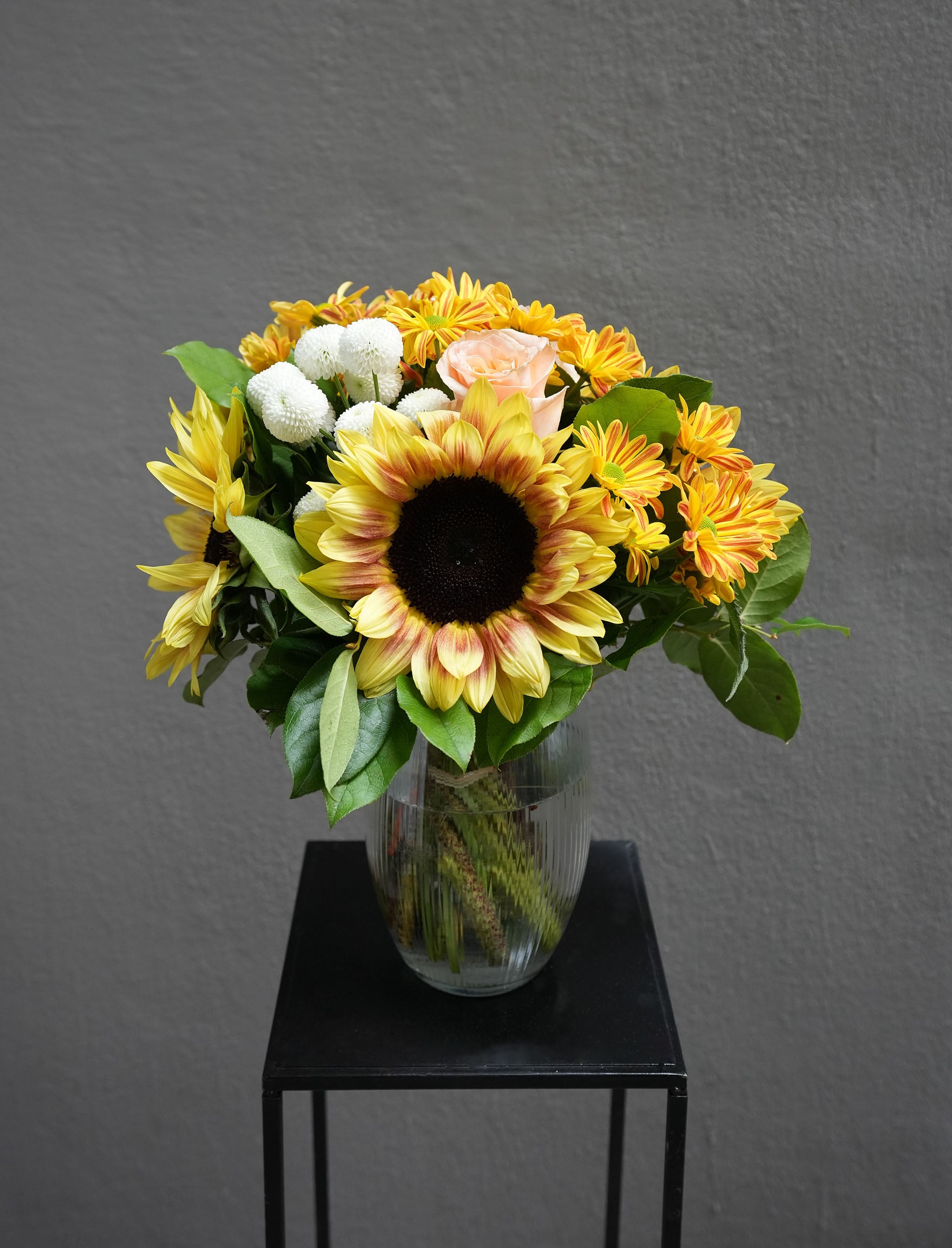 New Chapters (Summer Seasonal)