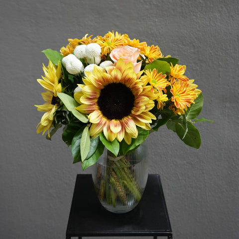 New Chapters (Summer Seasonal)