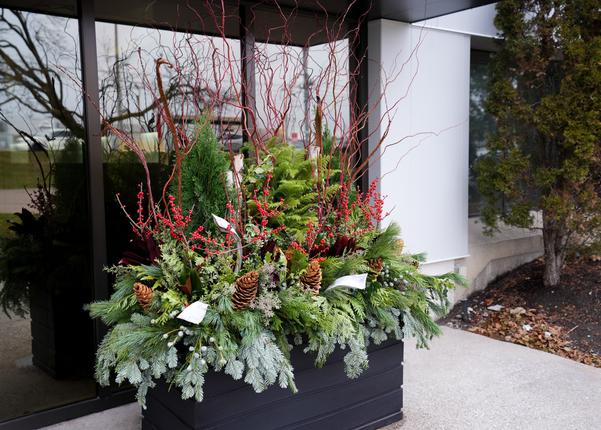 Holiday Miracles Arrangement