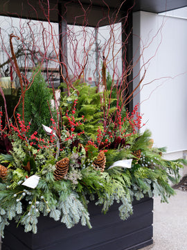 Holiday Miracles Arrangement