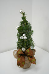 Mini Christmas Tree