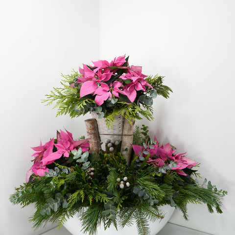 Lush Poinsettia Arrangement