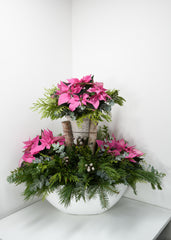 Lush Poinsettia Arrangement