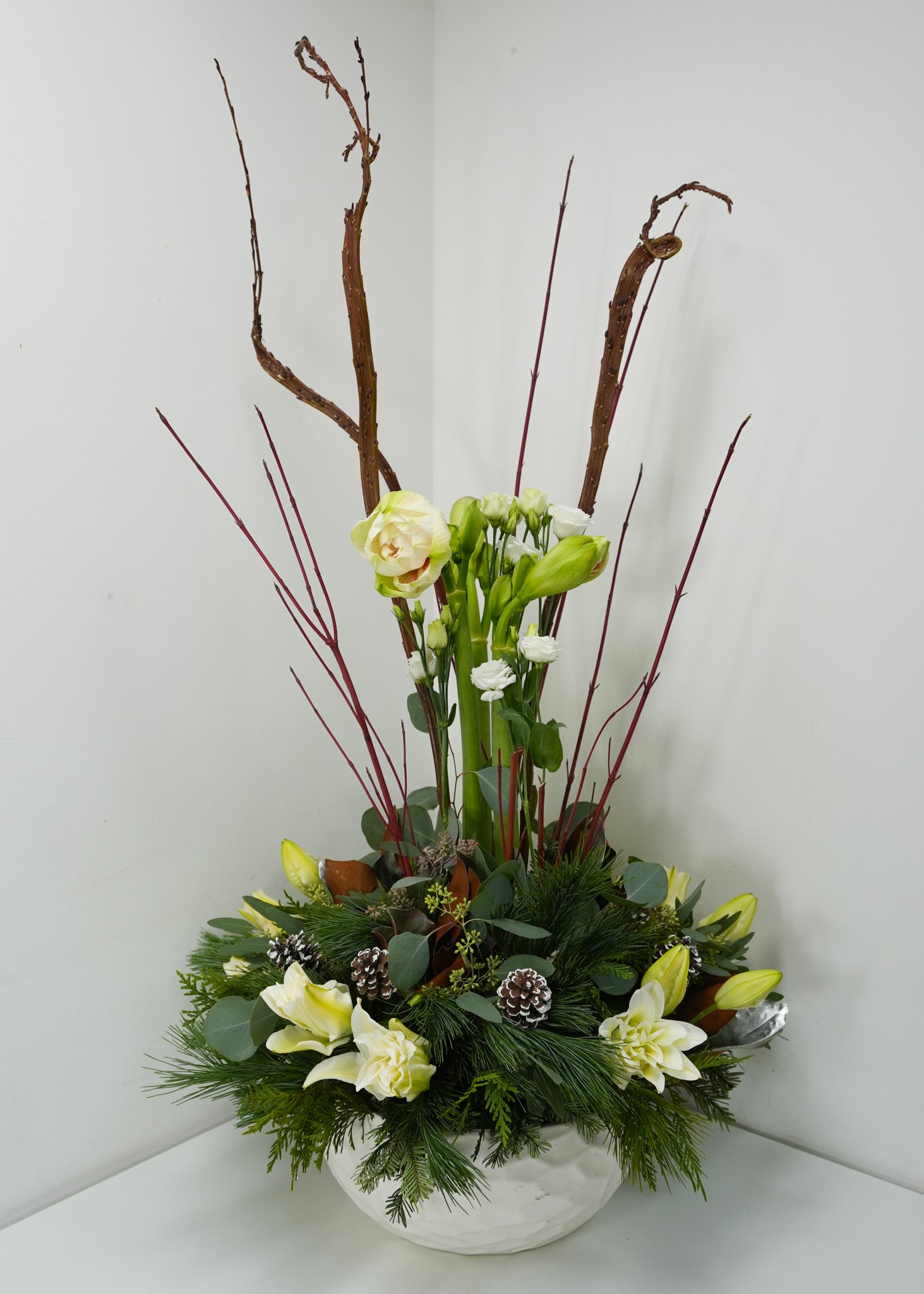 Tranquility in Winter