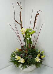 Tranquility in Winter