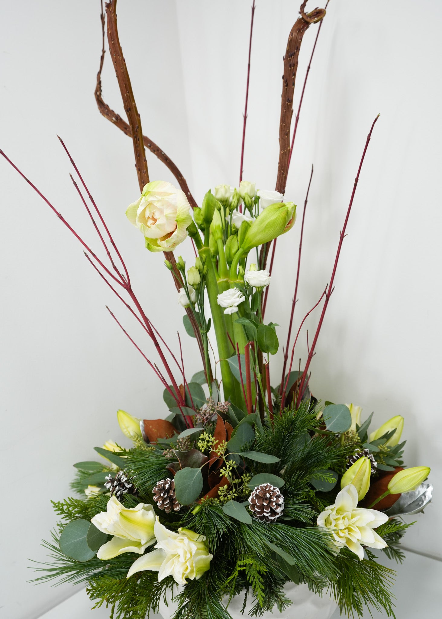 Tranquility in Winter