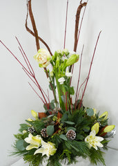 Tranquility in Winter