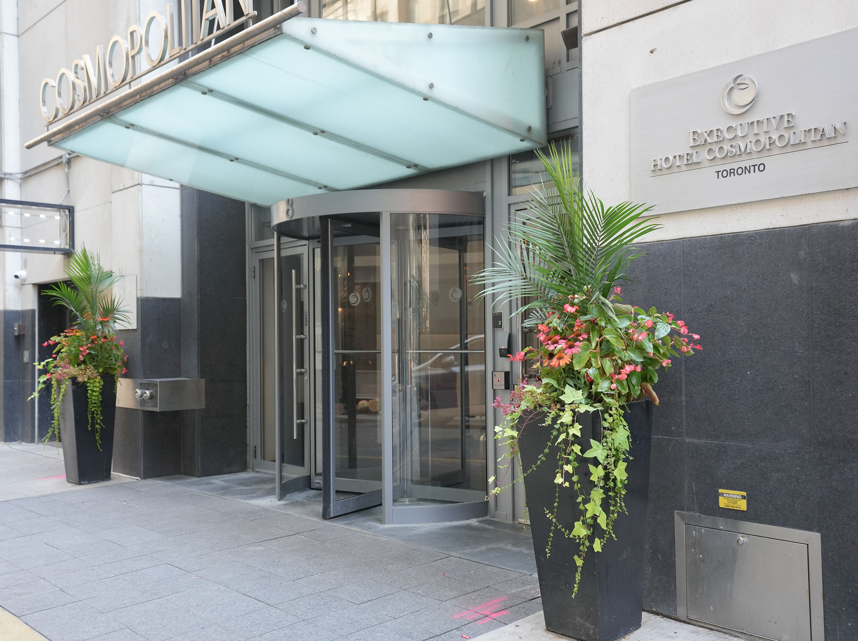 Summer outdoor plant