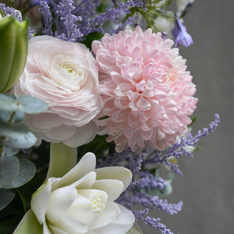 Fruits of the Lavender