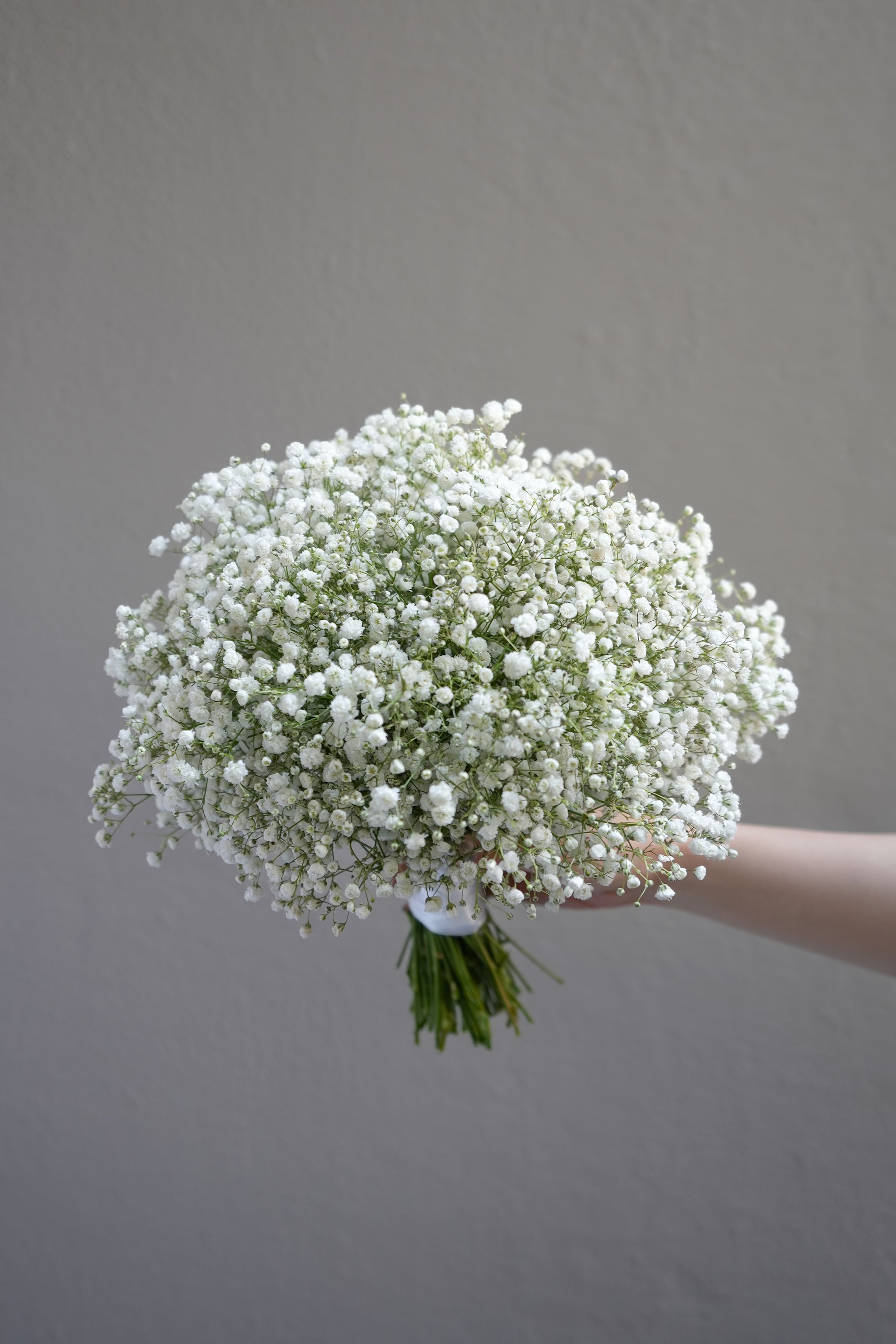 Baby's Breath Bridal Bouquet