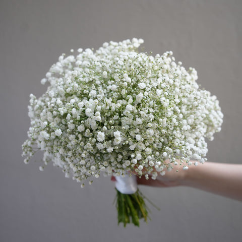 Baby's Breath Bridal Bouquet