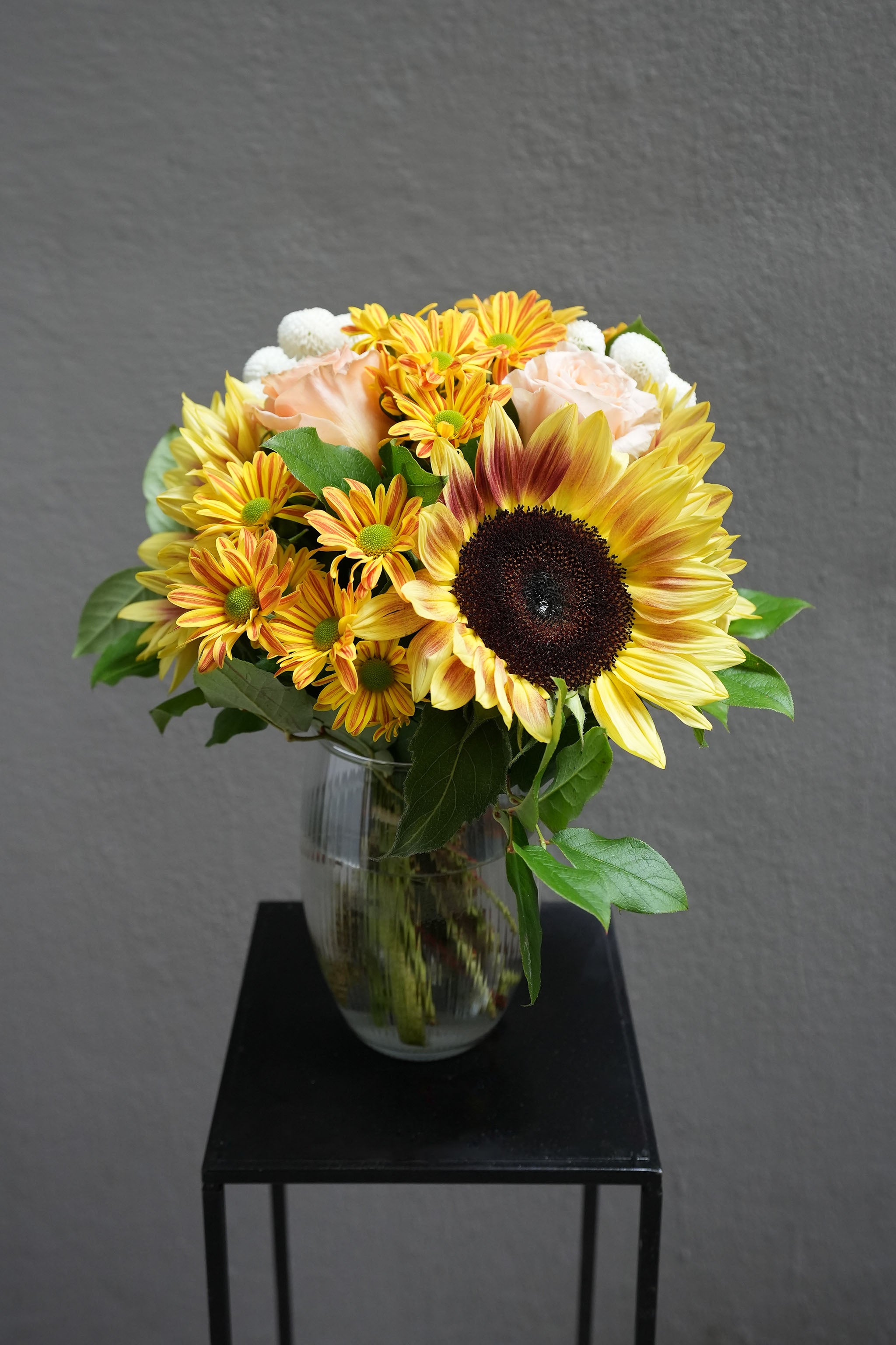 New Chapters (Summer Seasonal)