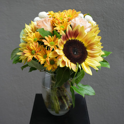 New Chapters (Summer Seasonal)