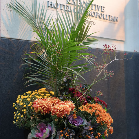 Autumn outdoor plant