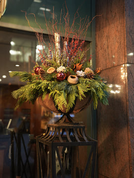 Holiday Outdoor Delight