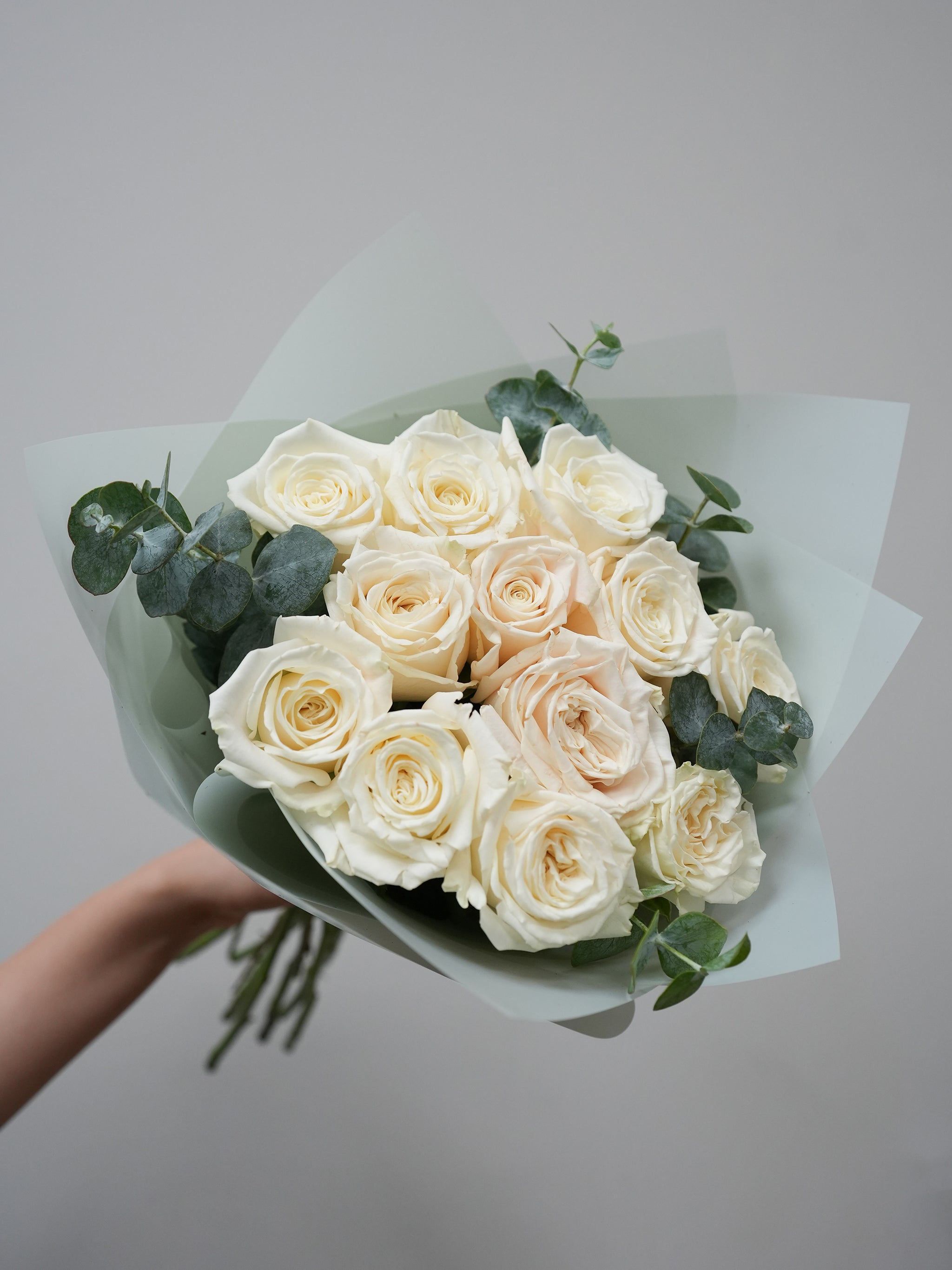 12 White Roses