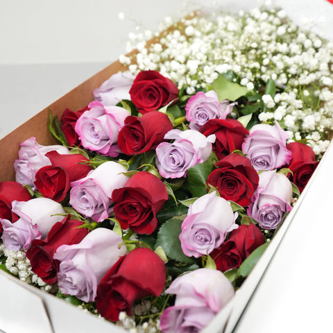 24 Lavender & Red Rose Box