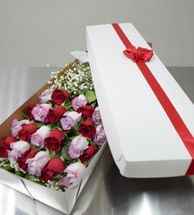 24 Lavender & Red Rose Box