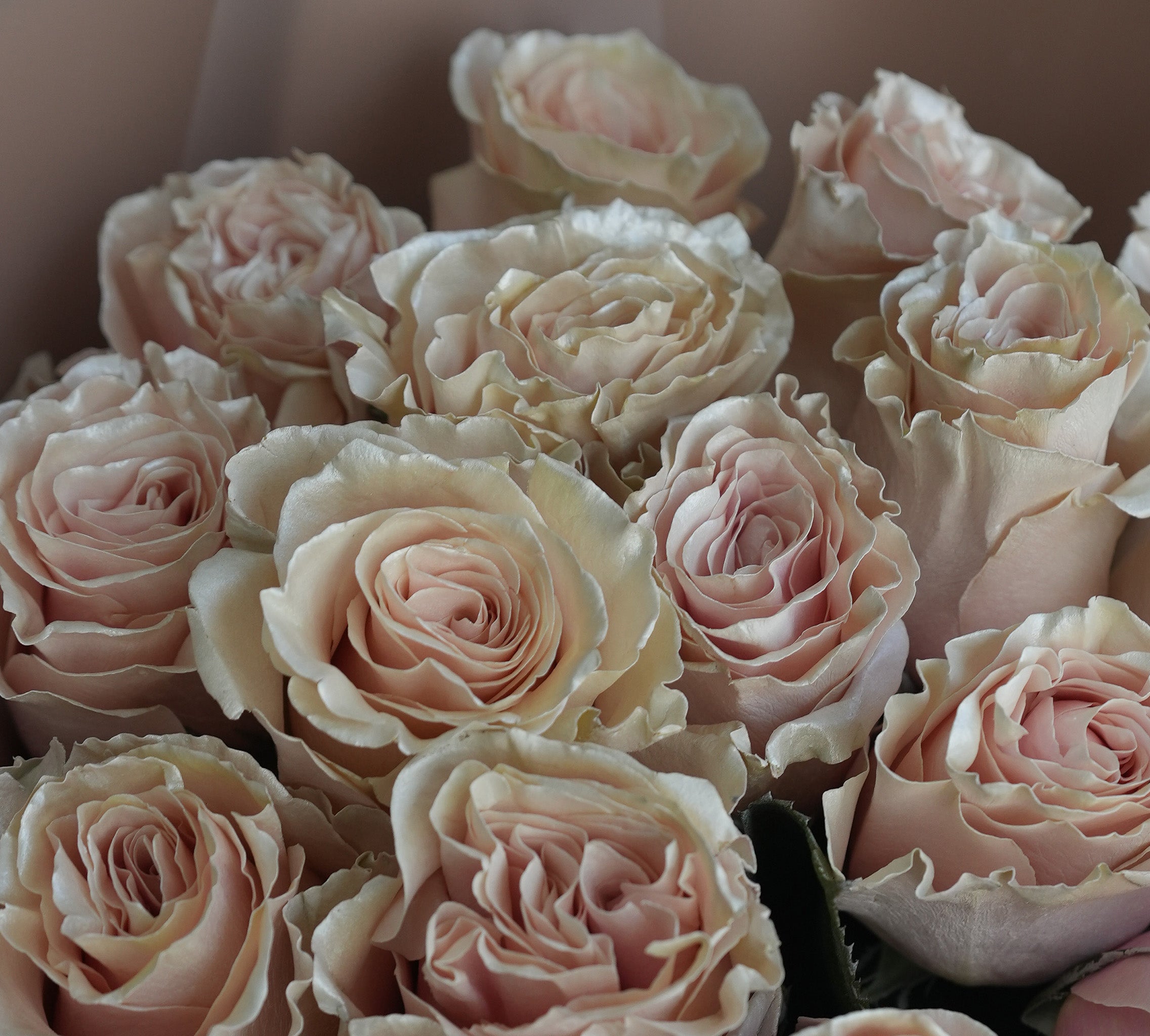 Pearl Rose Bouquet