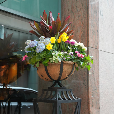 Spring Outdoor Arrangement