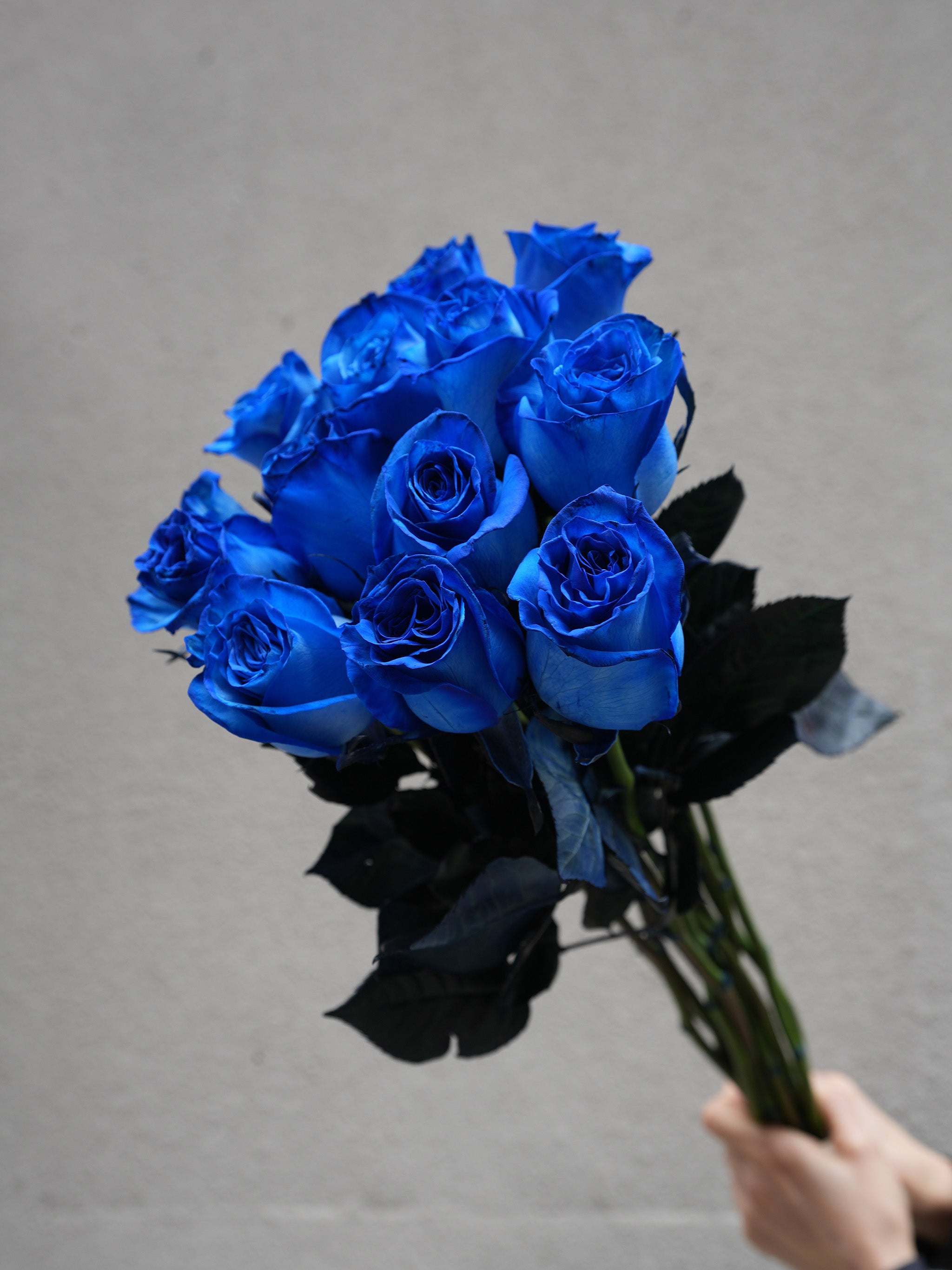 12 Blue Roses