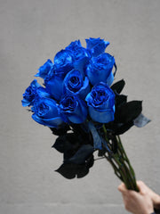 12 Blue Roses