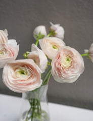 Ranunculus