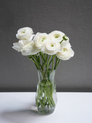 Ranunculus