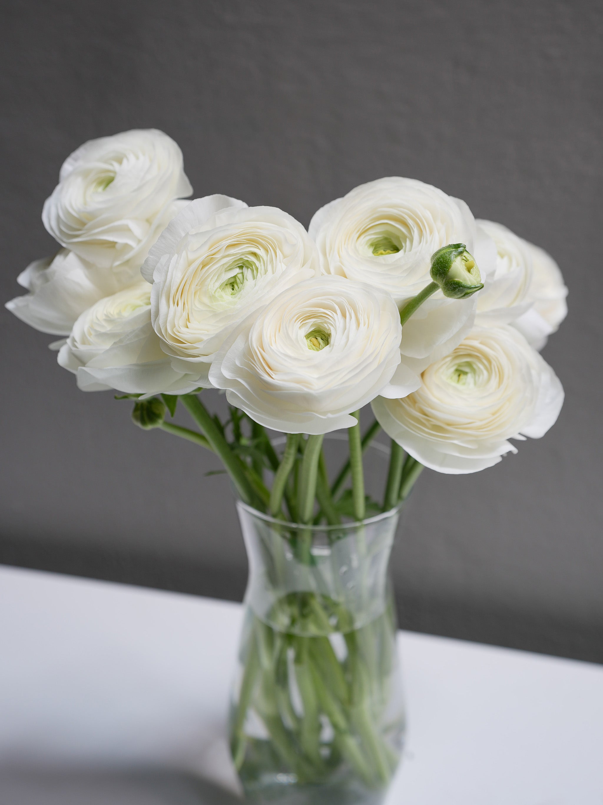 Ranunculus