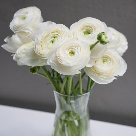 Ranunculus