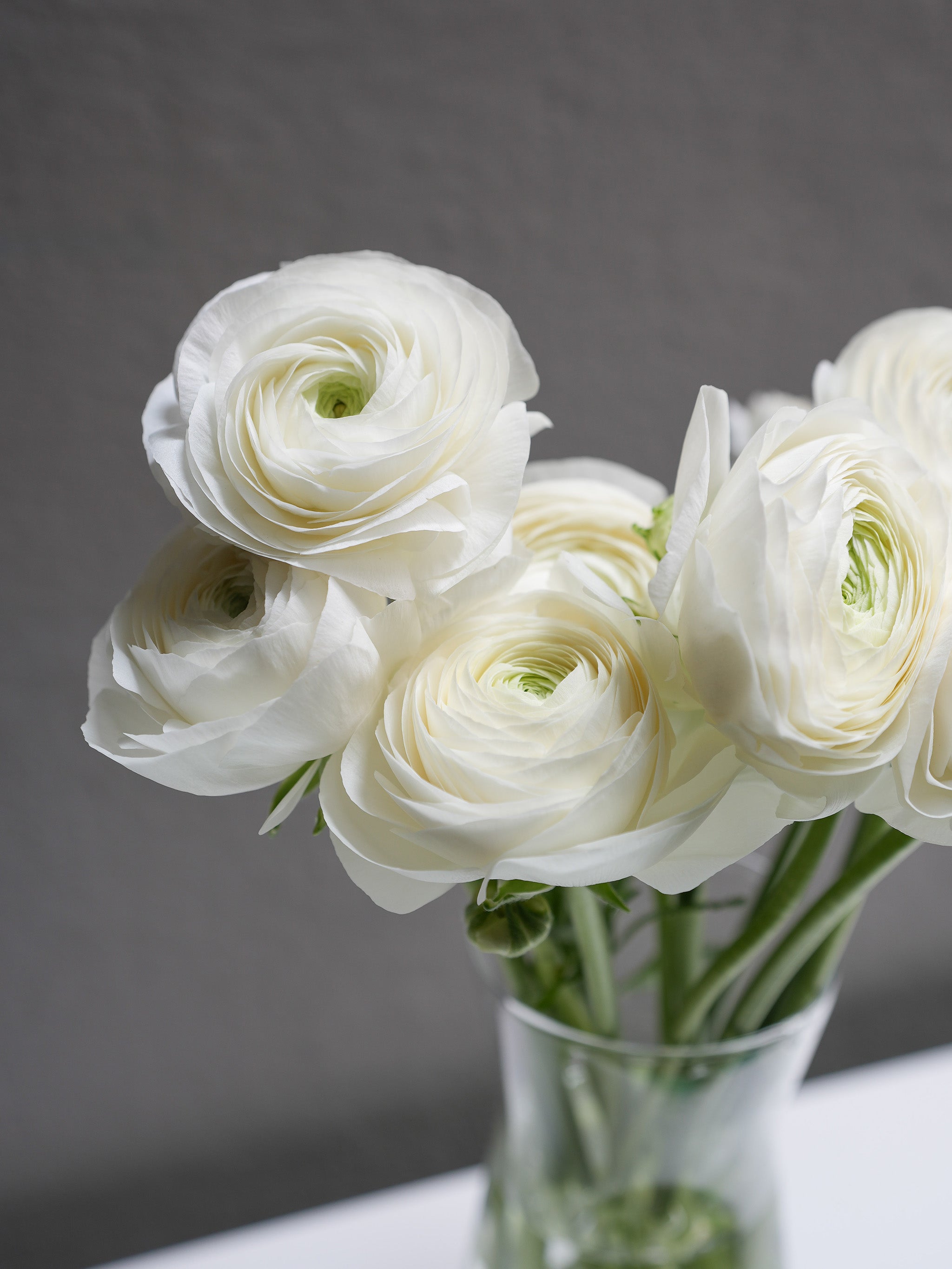 Ranunculus