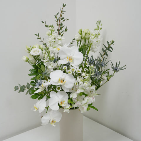 White Orchid Arrangement