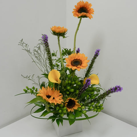 Sun Blushed with Vase