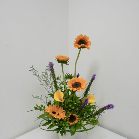 Sun Blushed with Vase