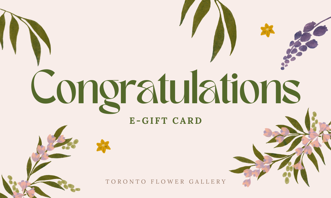 eGift Card - Congratulation!