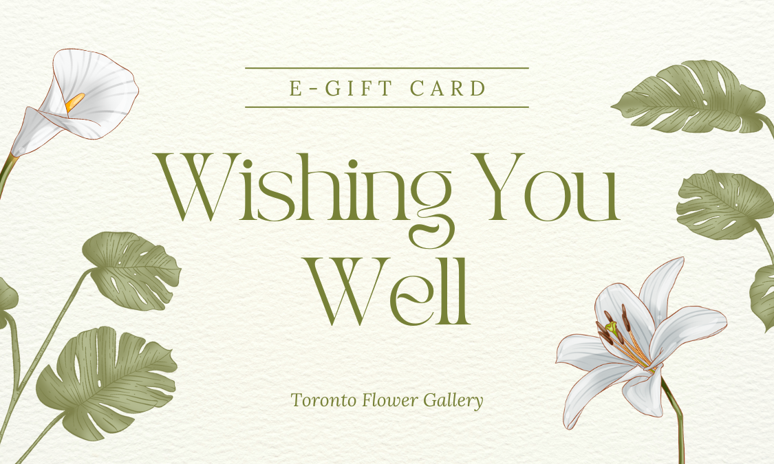 eGift Card - Get Well