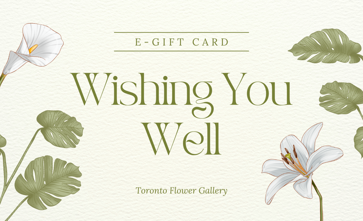 eGift Card - Get Well
