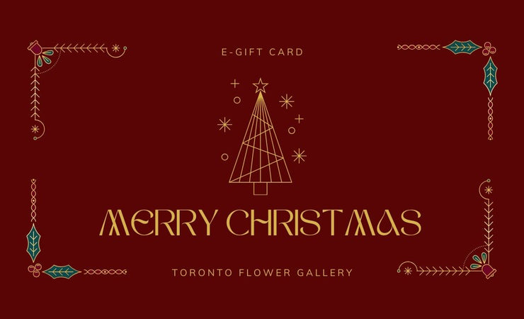 eGift Card - Merry Christmas