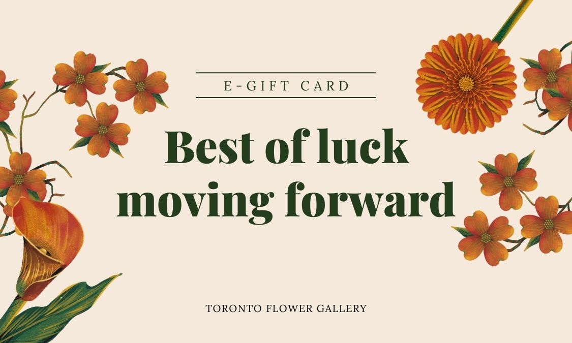 eGift Card - Next Chapter