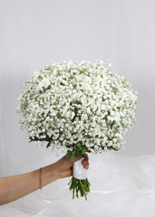 Baby's Breath Bridal Bouquet