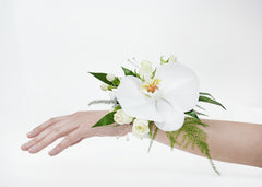 White Orchid with Rose Corsage 2