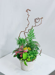 Dream in Pink Dishgarden