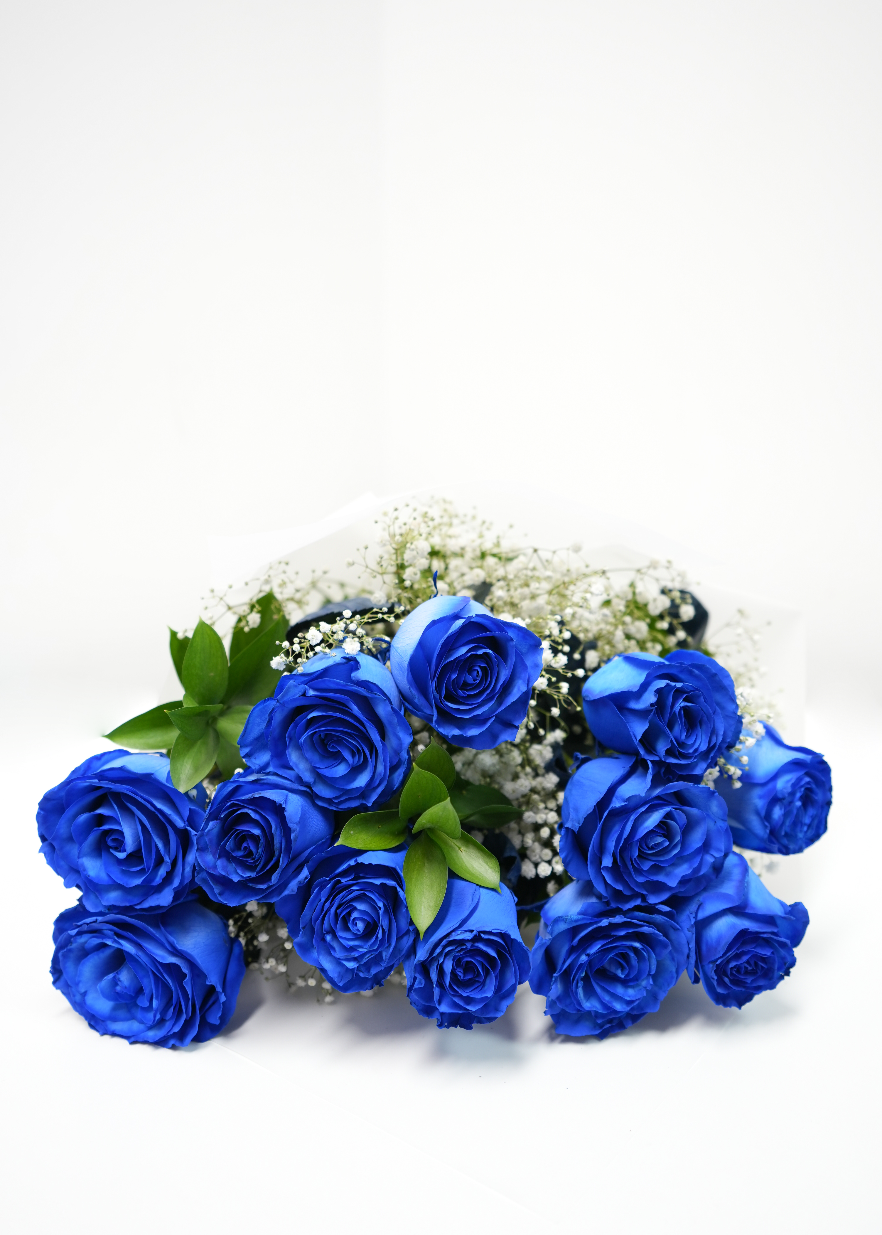 12 Blue Roses